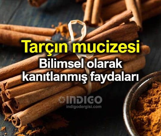 Tarçın mucizesi: Bilimsel olarak kanıtlanmış faydaları