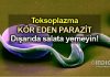 Toksoplazma: Kör eden parazit! Dışarıda salata yemeyin!