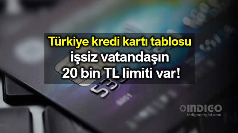 Türkiye kredi kartı tablosu: İşsiz vatandaşın 20 bin TL limiti var!
