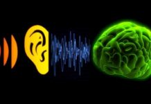 Beyin orgazmı: YouTube’da ASMR trendi nedir? Beyin orgazmı: YouTube'da ASMR trendi!