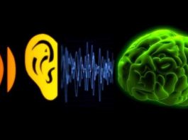 Beyin orgazmı: YouTube'da ASMR trendi!