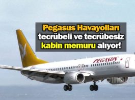Pegasus Havayolları Kabin Memuru iş ilanı yayınladı
