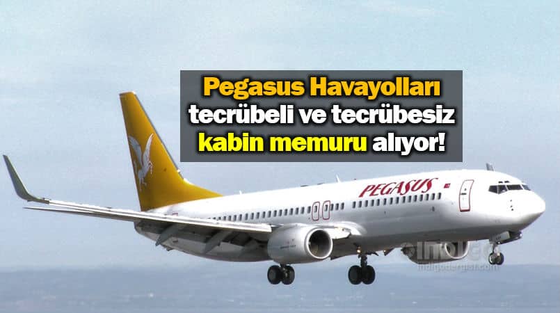 Pegasus Havayolları Kabin Memuru iş ilanı yayınladı