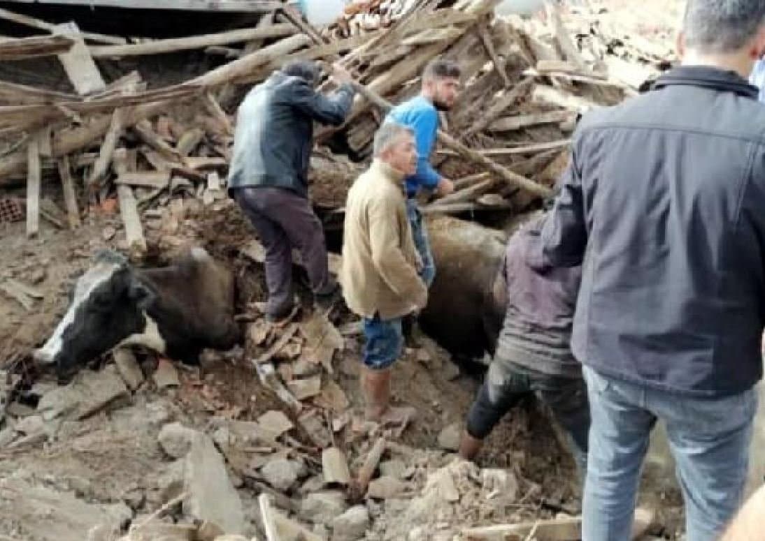 15 hayvan enkaz altında kaldı deprem
