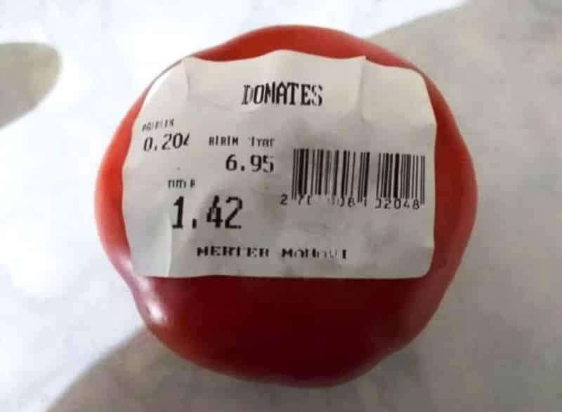 domates fiyatı