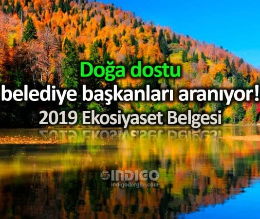 Ekosiyaset Belgesi: Doğa dostu belediye başkanları aranıyor!