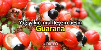 Guarana nedir? Metabolizma hızlandıran yağ yakıcı besin