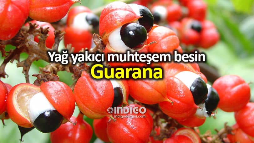 Guarana nedir? Metabolizma hızlandıran yağ yakıcı besin