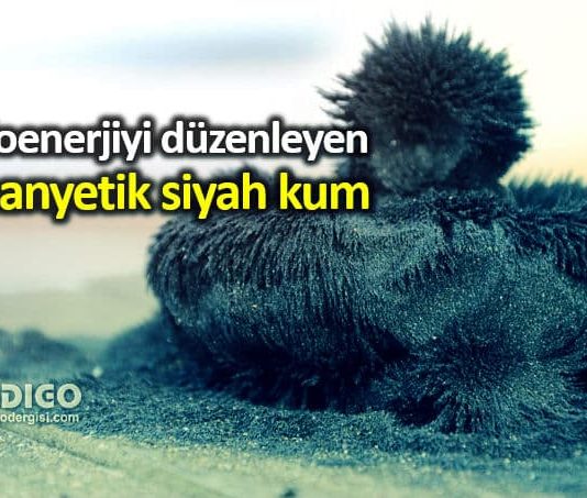 Manyetik siyah kum mucizesi: Biyoenerjiyi düzenliyor