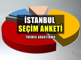 Themis Araştırma İstanbul seçim anketi