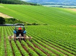 Türkiye İhracatçılar Meclisi: Çiftçi kazanırsa herkes kazanır