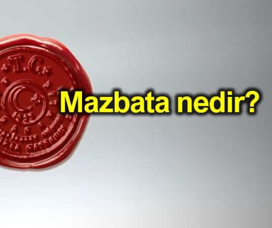 Mazbata nedir? Nereden nasıl alınır?