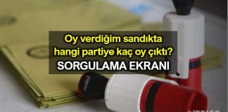 Hangi sandıkta hangi partiye kaç oy çıktı? Sorgulama ekranı