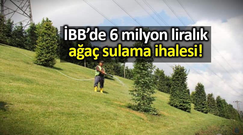 İBB 6 milyon liraya ağaç sulama ihalesi açtı: AKP isme verildi!