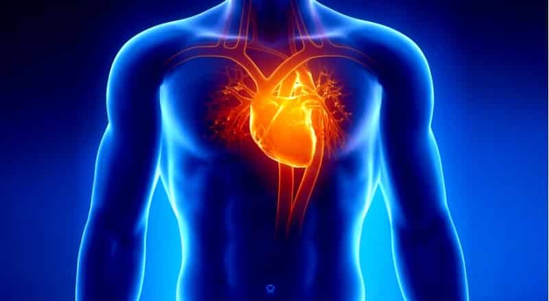 Kalp krizinin geliyorum dediği 7 önemli belirti nedir?