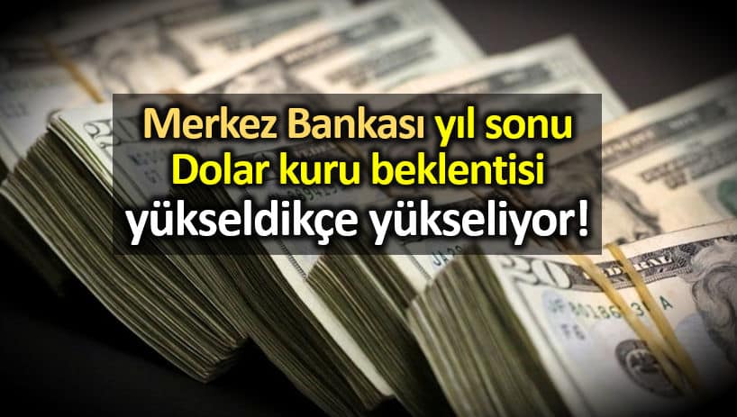 Merkez Bankası yıl sonu Dolar ve enflasyon tüfe beklentisi yükseldi!