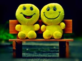 Mutluluk; kişinin hayatı keyif alarak anlamlı bir şekilde yaşamasıdır