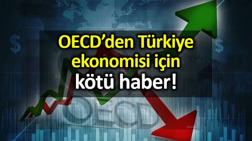 OECD Türkiye büyüme ve enflasyon ile ilgili olumsuz veriler