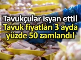 Tavuk fiyatları 3 ayda yüzde 50 zamlandı!