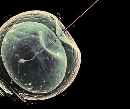 Tüp bebek tedavisi hakkında en çok merak edilen 10 soru