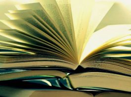 Türkiye'de romanın gelişimi: Yıldız Ecevit ve romanda yabancılaştırma etkisi