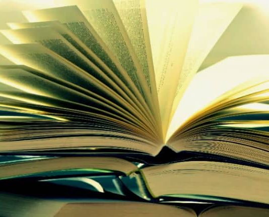 Türkiye'de romanın gelişimi: Yıldız Ecevit ve romanda yabancılaştırma etkisi