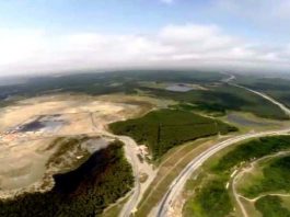 3. Havalimanı için çevre katliamı: 13 milyon ağacı kestiler!