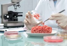 Kültür eti nedir? 2040 yılında yiyeceğimiz et, hayvan eti olmayacak! kültür eti nedir