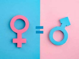 11. Kalkınma Planı nda toplumsal cinsiyet eşitliğine yer yok!