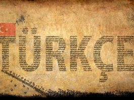 Dil gelişimi ve Türkçeye dair kaygı