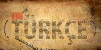 Dil gelişimi ve Türkçeye dair kaygı