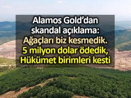 Alamas Gold dan skandal açıklama: Ağaç kesimi için 5 milyon dolar ödedik