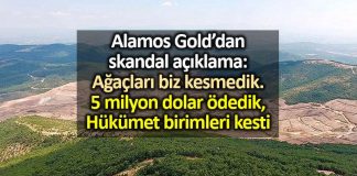 Alamas Gold dan skandal açıklama: Ağaç kesimi için 5 milyon dolar ödedik