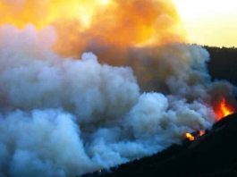 Avukatlardan üç bakana İzmir yangınında ihmalleri var suçlaması