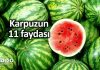 Karpuzun faydaları: Diyet ve kilo kontrolüne yardımcı Karpuz tüketmenin faydaları: Diyet ve kilo kontrolüne yardımcı