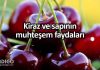 Kirazın faydaları: Kiraz ve sapının muhteşem yararları neler? Kirazın faydaları: Kiraz ve sapının muhteşem yararları neler?