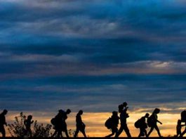 Mülteci krizi ve yabancı düşmanlığı