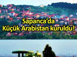 Sapanca da Küçük Arabistan kuruldu: Esnaf memnun!