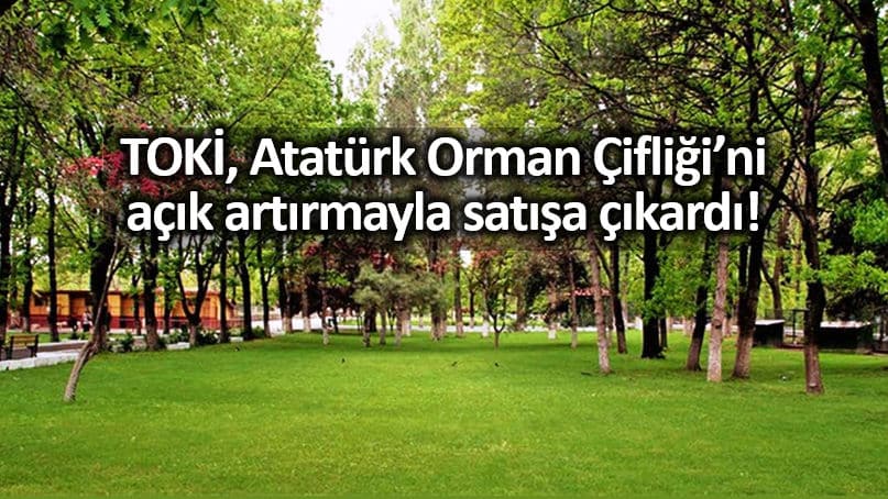 TOKİ, Atatürk Orman Çifliği arazilerini açık artırma ile satışa çıkardı!