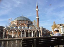 amsterdam cami