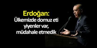 Erdoğan: Ülkemizde domuz eti yiyenler var, müdahale etmedik