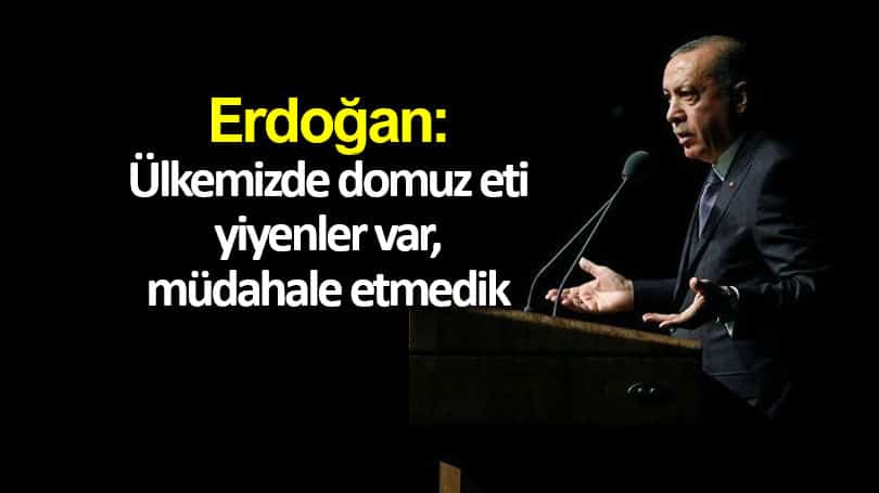 Erdoğan: Ülkemizde domuz eti yiyenler var, müdahale etmedik