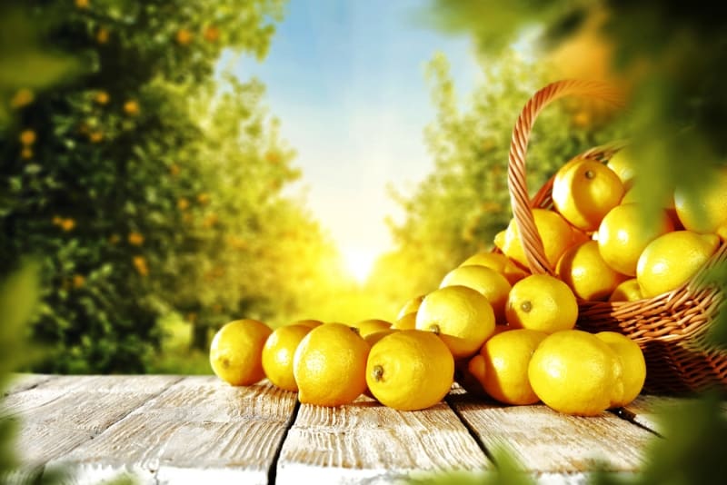 limon kabuğu faydaları