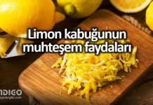 Limon kabuğunun faydaları: Kanser riskini azaltıyor! Limon kabuğunun faydaları: Kanser riskini azaltıyor!