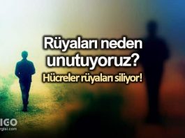 Rüyalar hafızamızdan neden ve nasıl siliniyor? Bilim insanları açıkladı!