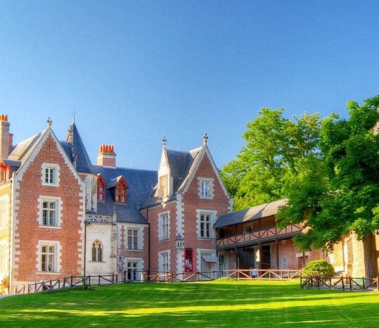 amboise leonardo da vinci müze evi türk sanatçılar