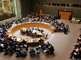 ABD ve Rusya, BM Güvenlik Konseyi’nin Türkiye‘yi kınama kararını veto etti