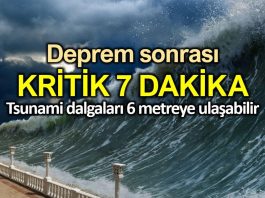 İstanbul depreminde kritik 7 dakika: Tsunami 6 metreye ulaşabilir