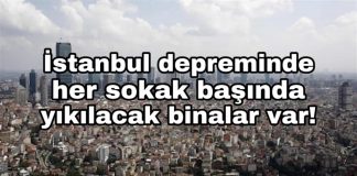 Prof. Şükrü Ersoy: Beklenen İstanbul depremi ulusal krize neden olabilir