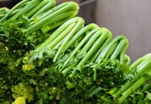 Turşu yapımı püf noktaları: Biber turşusu tarifi ve kereviz yaprağı sırrı Turşu yapımı püf noktaları: Biber turşusu tarifi ve kereviz yaprağı sırrı